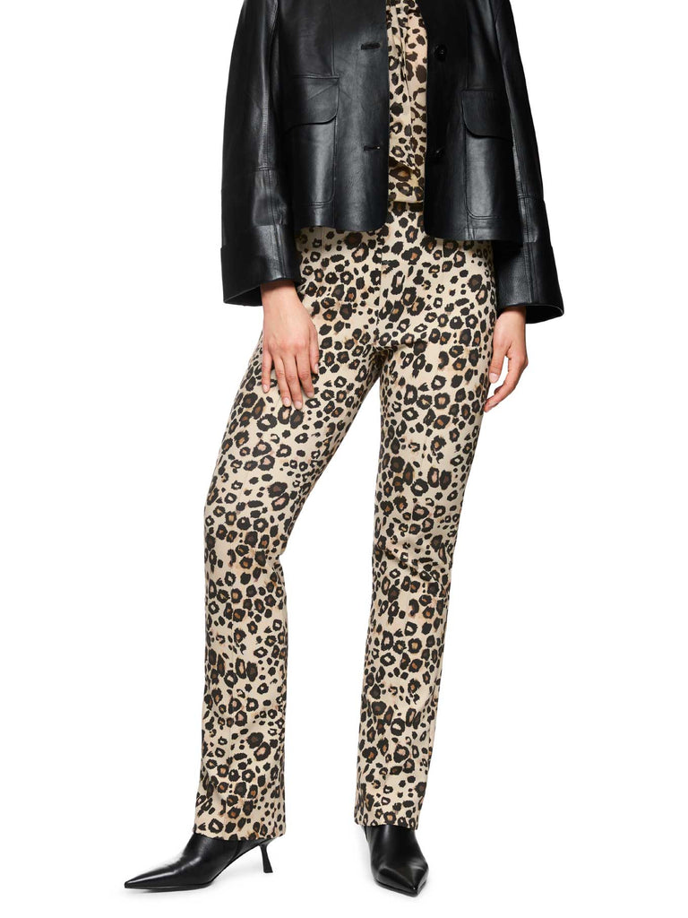 Hose Frederica leo, Ansicht vorne